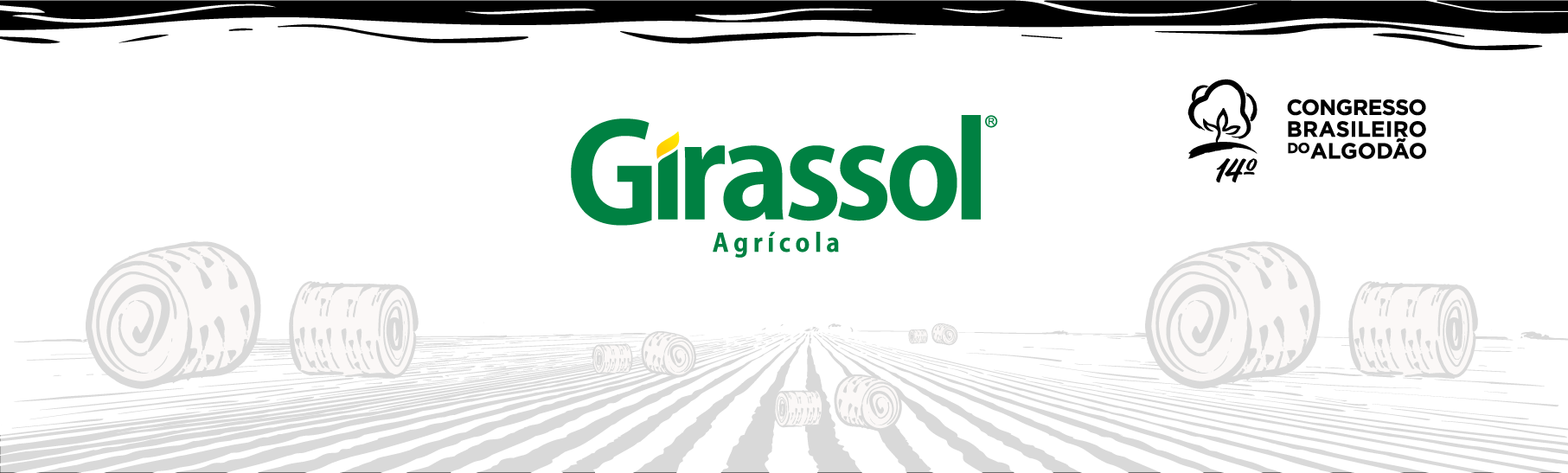 Girassol Agrícola apresentará cultivares com foco em produtividade no 14º CBA
